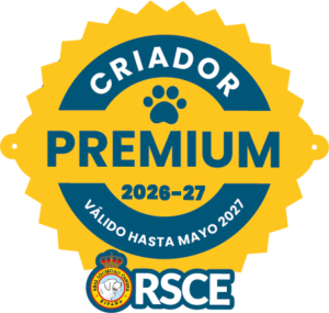Acreditación Criador Premium Golden Retriever RSCE